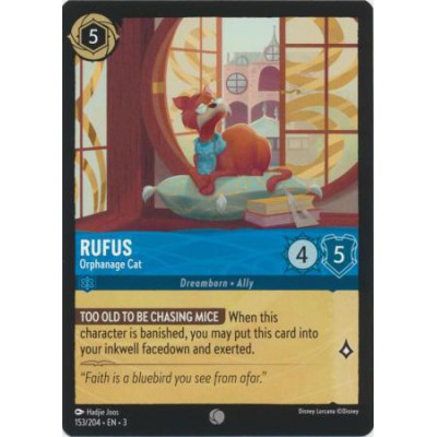 Rufus - Orphanage Cat