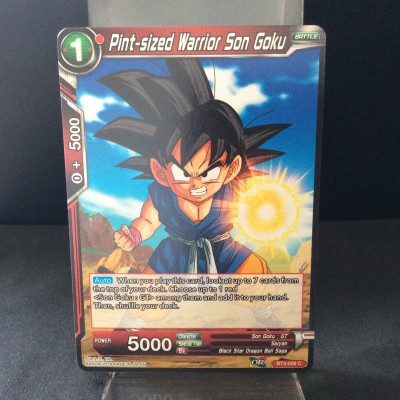 Pint-sized Warrior Son Goku