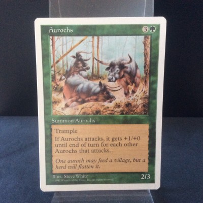 Aurochs