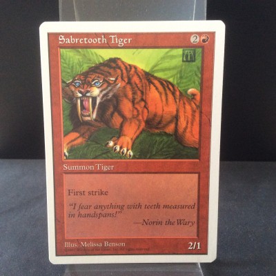 Sabretooth Tiger
