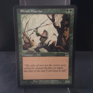 Elvish Warrior