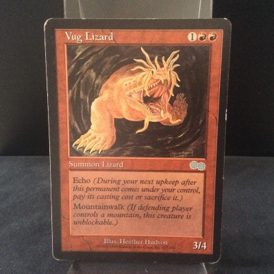 Vug Lizard