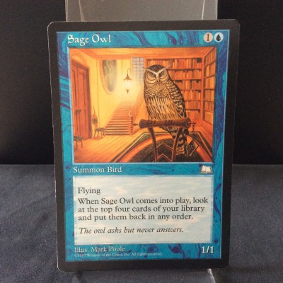Sage Owl