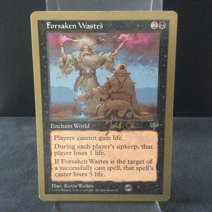 Forsaken Wastes