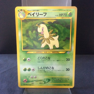 Bayleef