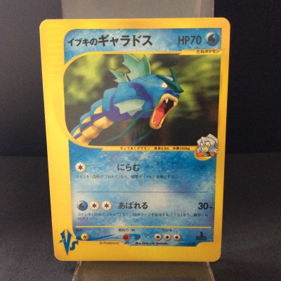 Clair's Gyarados
