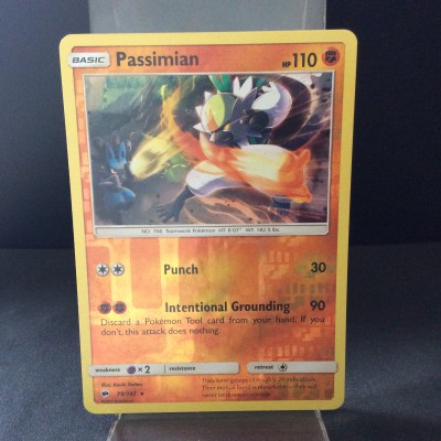 Passimian
