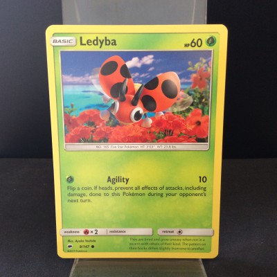 Ledyba