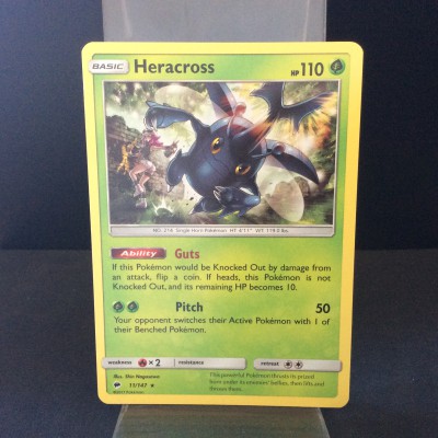 Heracross