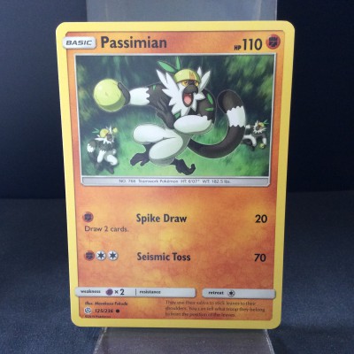 Passimian