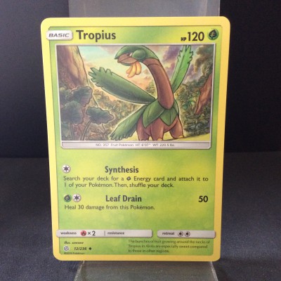 Tropius