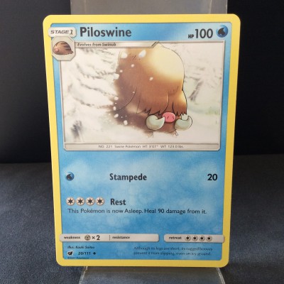 Piloswine