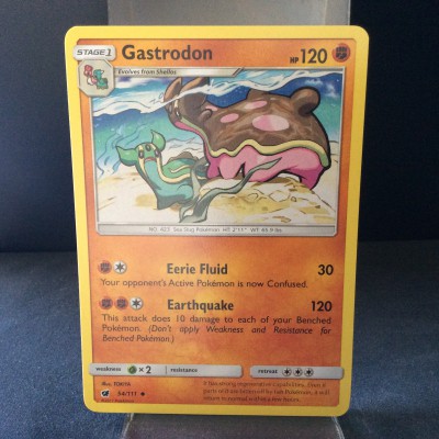 Gastrodon