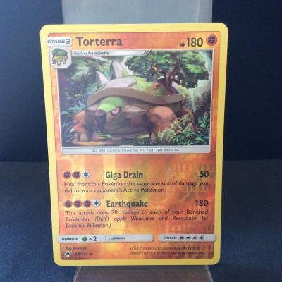 Torterra