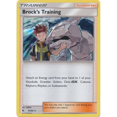Brock's Training