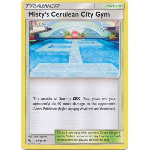 Misty's Cerulean City Gym