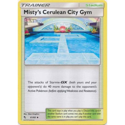 Misty's Cerulean City Gym