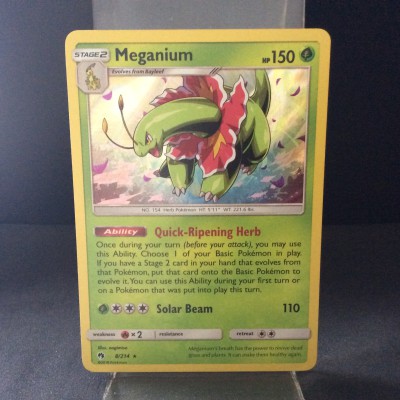 Meganium