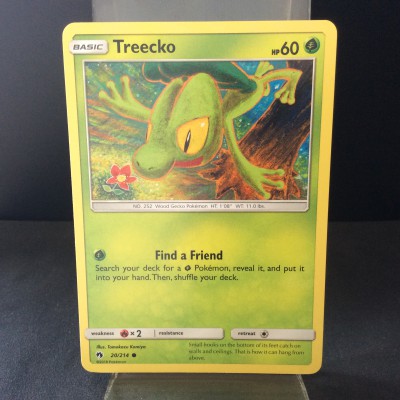 Treecko