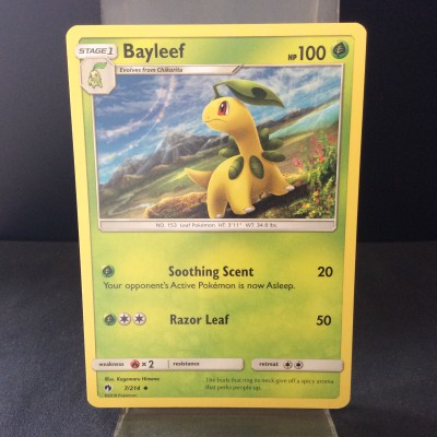 Bayleef