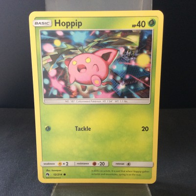 Hoppip