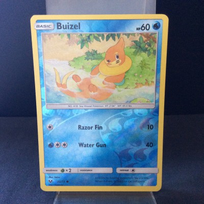 Buizel