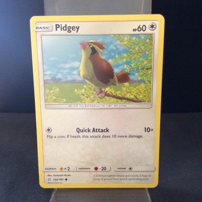 Pidgey