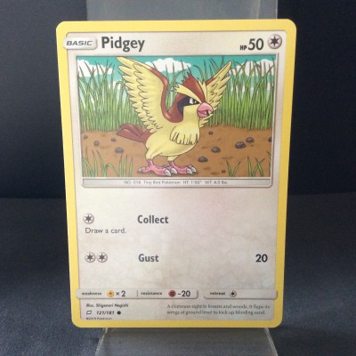 Pidgey