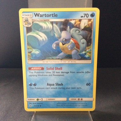 Wartortle