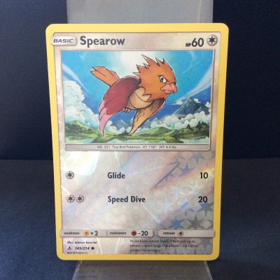 Spearow