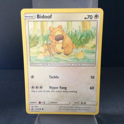 Bidoof