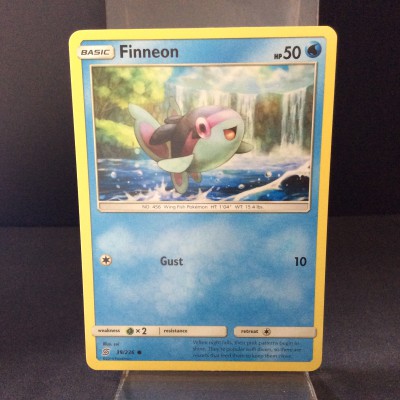 Finneon