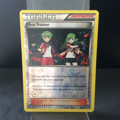 Ace Trainer