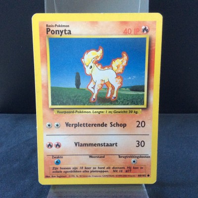 Ponyta