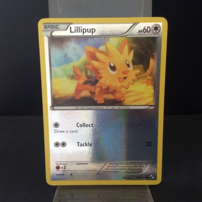 Lillipup