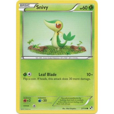 Snivy