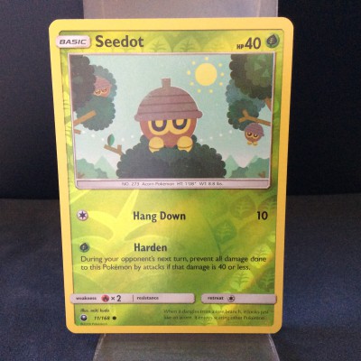 Seedot
