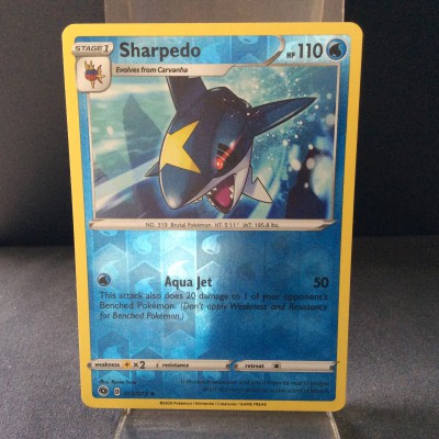 Sharpedo