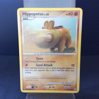 Hippopotas