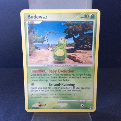 Budew