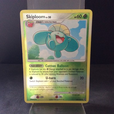 Skiploom
