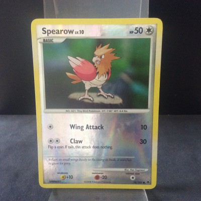 Spearow
