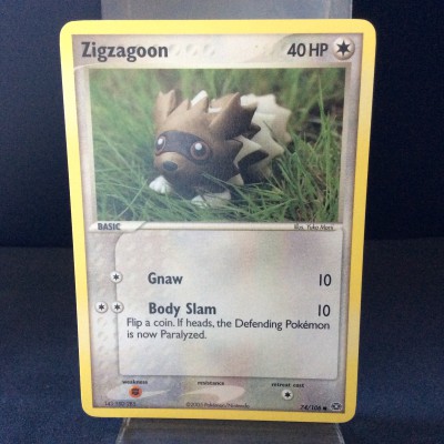 Zigzagoon