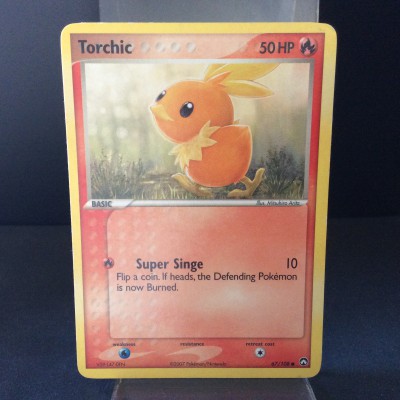 Torchic