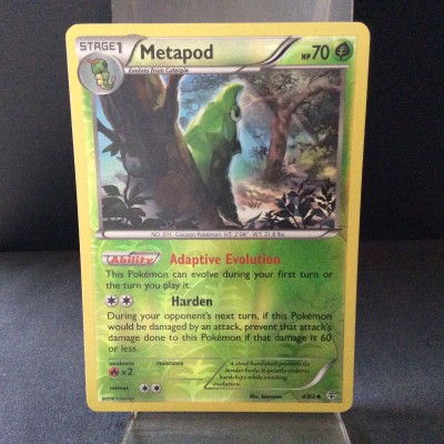 Metapod