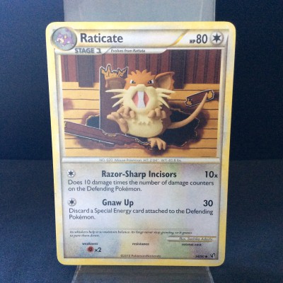 Raticate