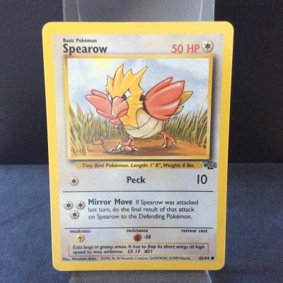 Spearow