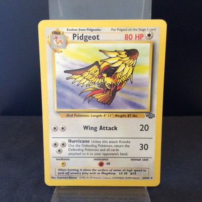 Pidgeot