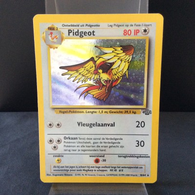 Pidgeot