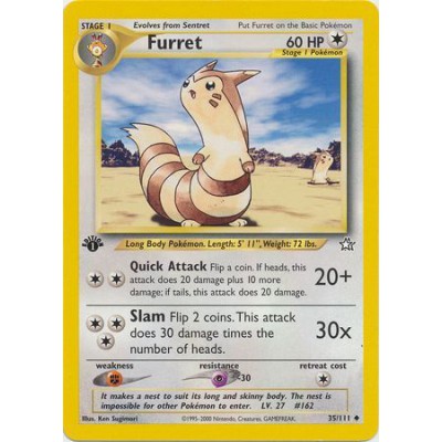 Furret